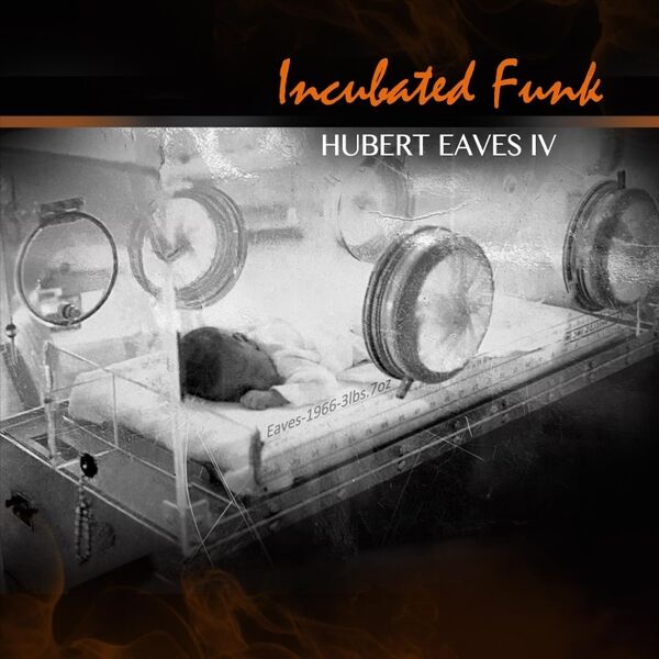 Cover art for Incubated Funk